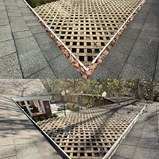 Commercial-pressure-washing-and-gutter-cleaning-in-Chapel-Hill-NC 1